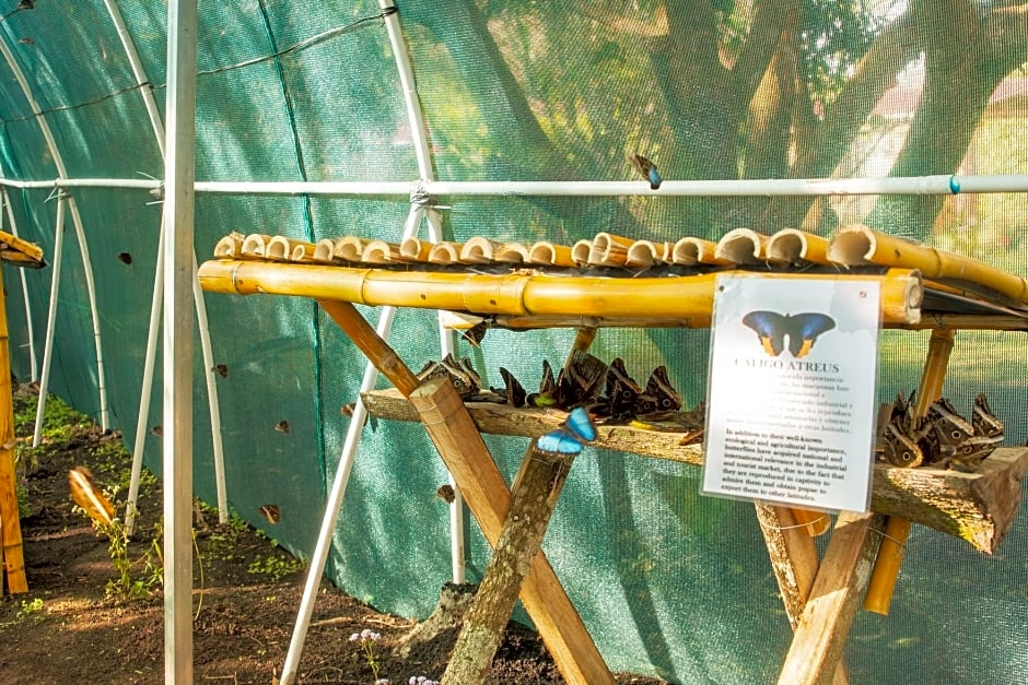 Paraiso Volcano Lodge