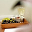 Hotel Attaché an der Messe
