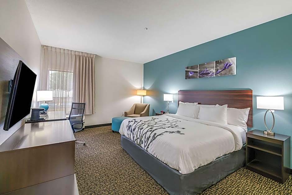 1 King Bed, Accessible — 4 fotoğraftan 1. fotoğraf