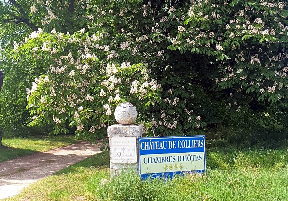 Château de Colliers