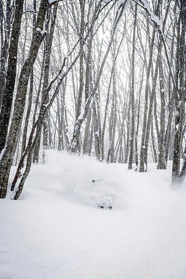 HA-MON Slope Side Hotel and Private Chalet