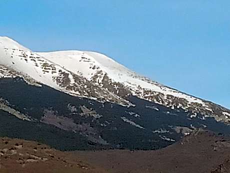 Twin Room - Disability Access