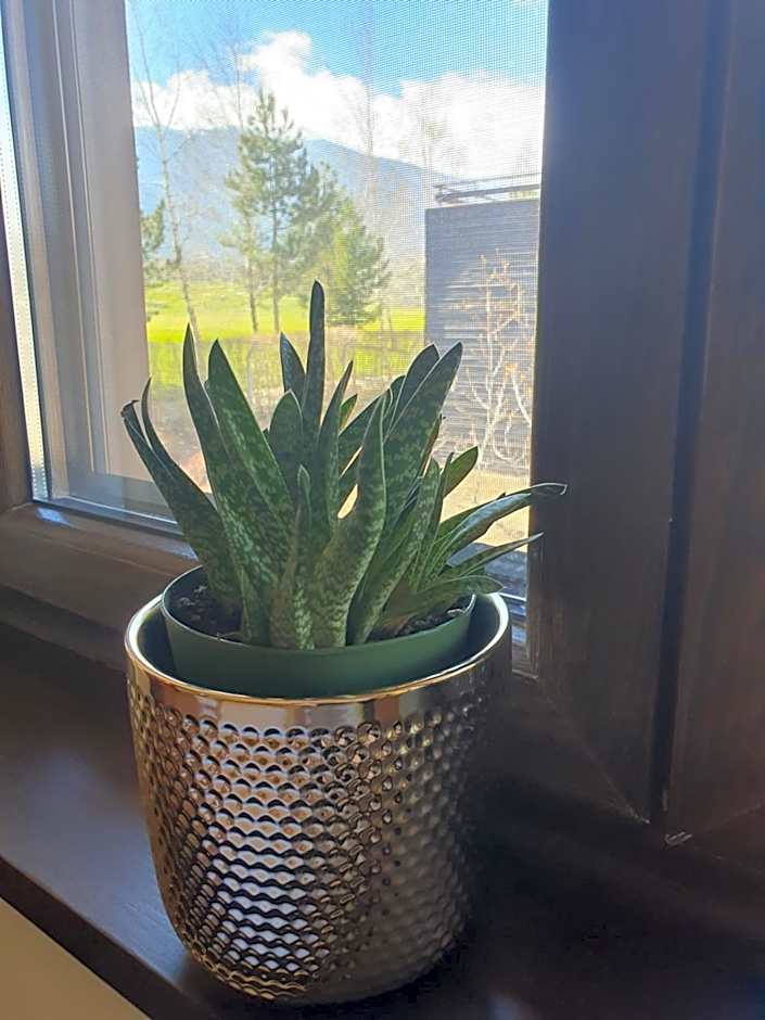 Apartment ZAX B7 in Terra Complex