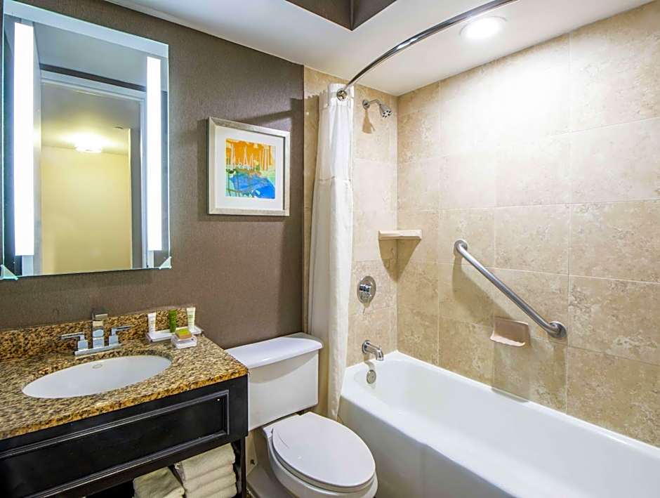 Hilton St. Petersburg Bayfront