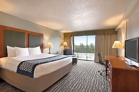 One-Bedroom Suite with City View - Non-Smoking