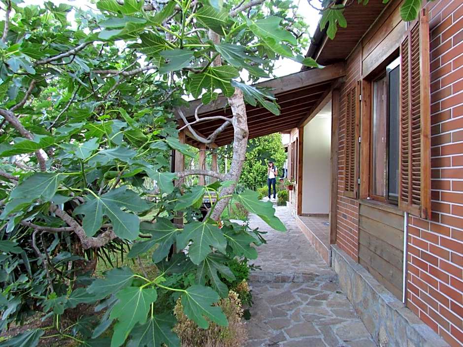 Villas and Bungalows Panorama