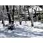 River Side Arashiyama - Vacation STAY 86031v