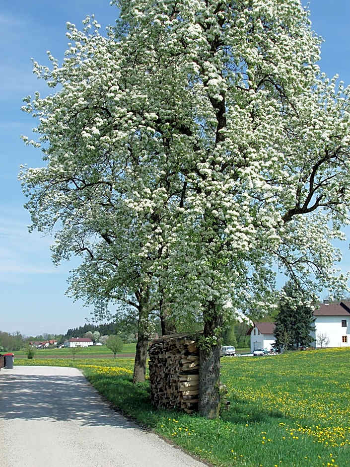 Gasthof Zur Linde