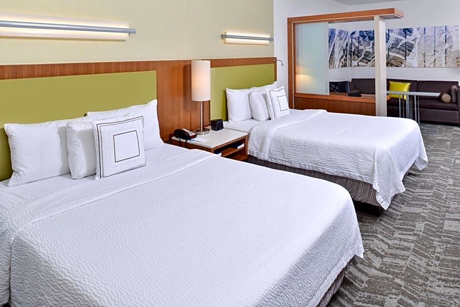 SpringHill Suites by Marriott Detroit Metro Airport Romulus