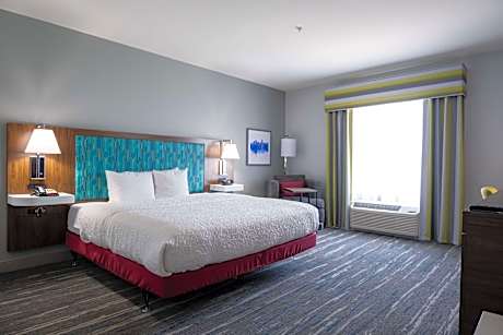 1 King Bed Nonsmoking