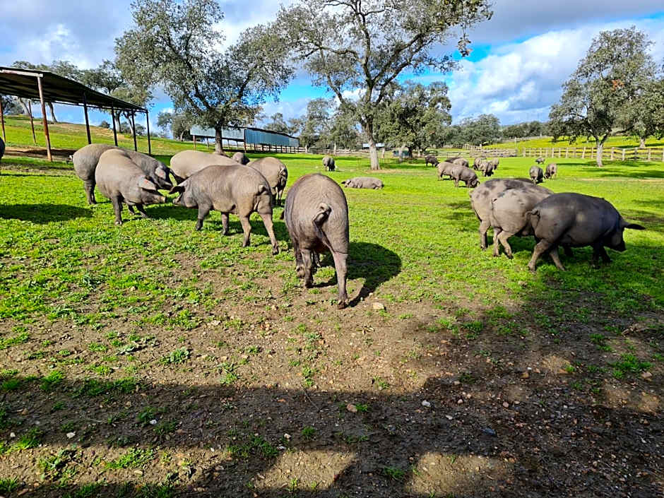 Alojamiento Rural Finca Barral