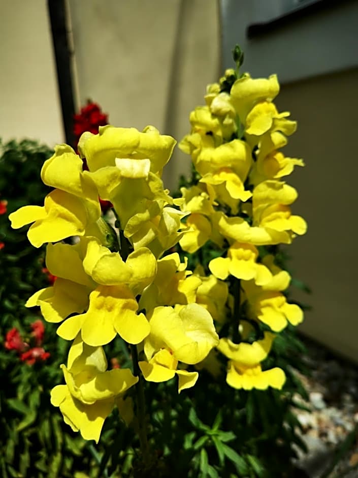 Haus der Begegnung Heilig Geist