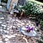 1560- Domaine Des Cinq Jardins- A Magical and Authentic Mansion