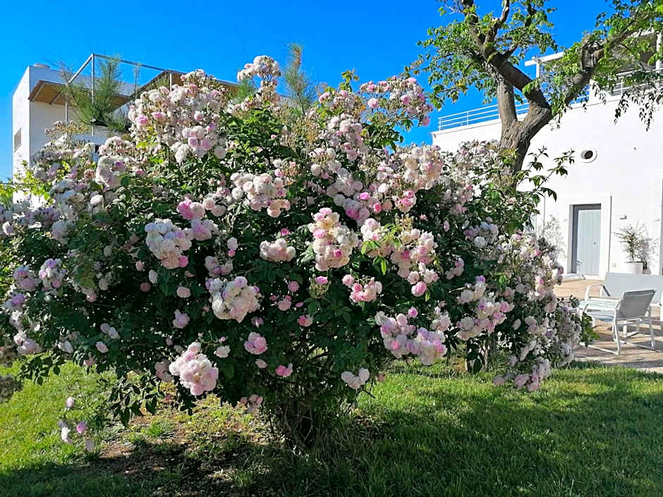 B&B Don Giovanni Monopoli