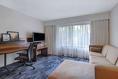 Suite, 1 King, Sofa bed