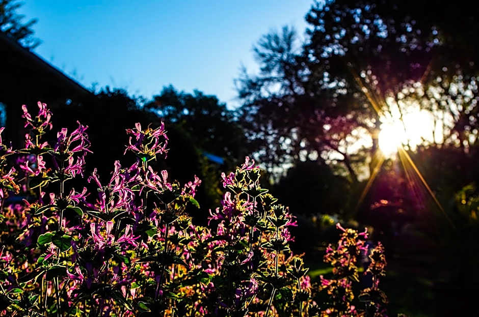 The Manderson Hotel and Conference Centre