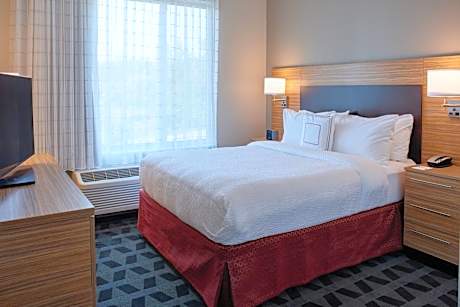 One-Bedroom Queen Suite with Sofa Bed