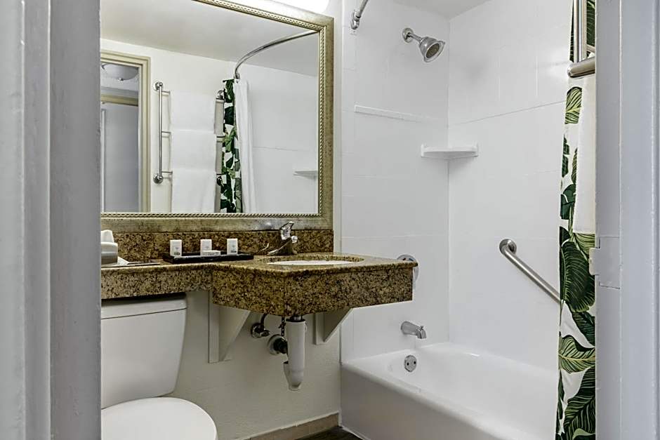 Holiday Inn Hotel Port of Miami-Downtown By IHG