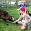 Pukenui Holiday Park