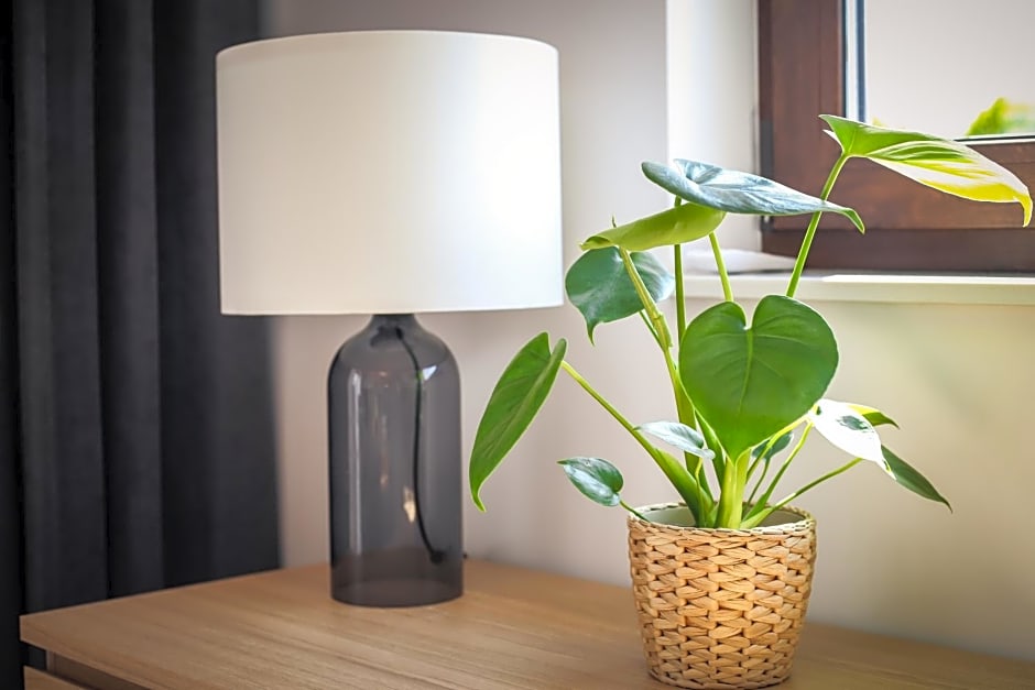 Domki wakacyjne 4 YOU