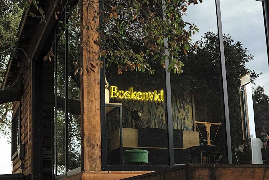 Boskenvid Hotel Boutique, Skypool