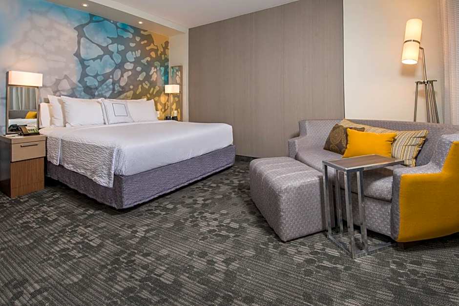 Photo 1 of 6 of 1 King Bed, Mobility Accessible, Bathtub