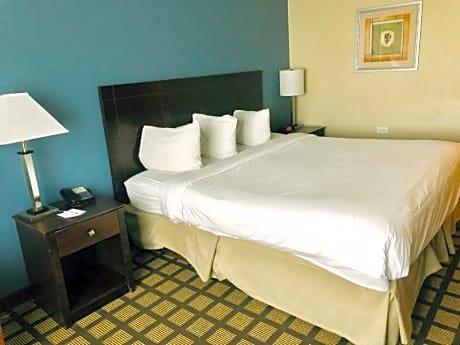 1 King Bed One-Bedroom Deluxe Suite Non-Smoking