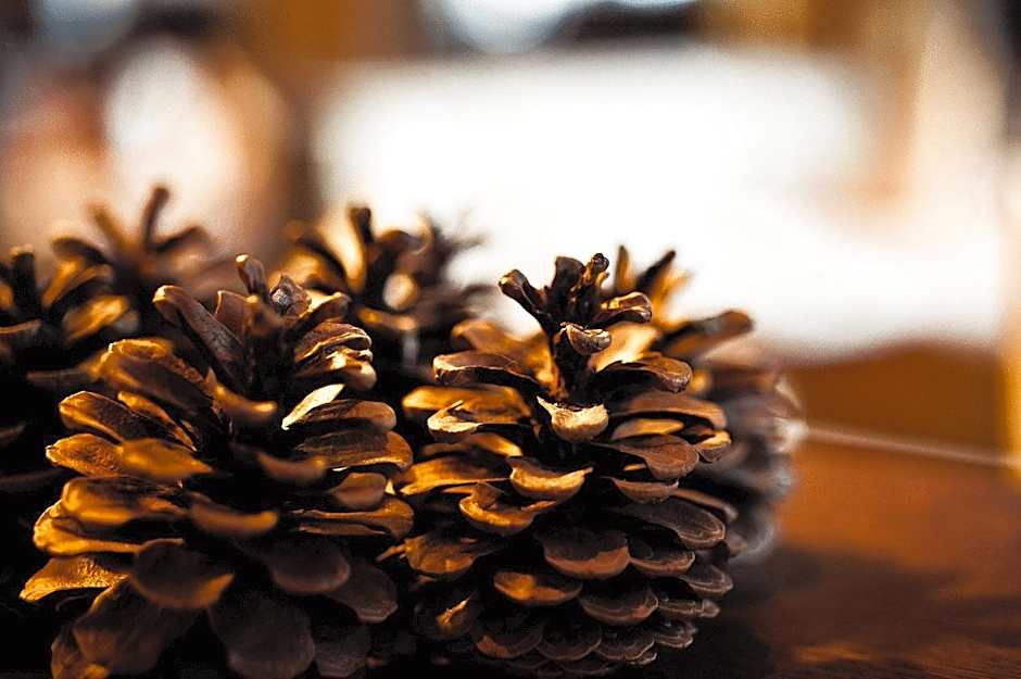 Hotel Eschenhof & Apartments