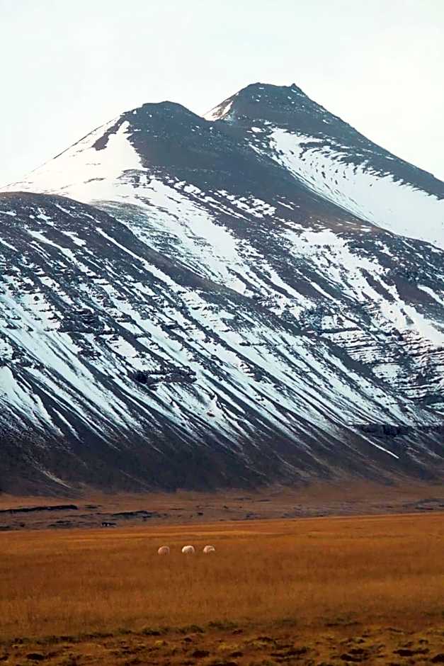 Glacier World - Hoffell Guesthouse