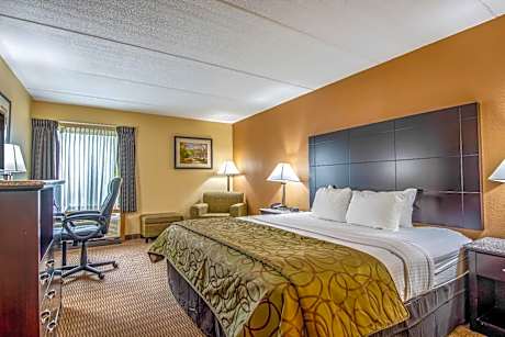Quality Inn Tully I-81