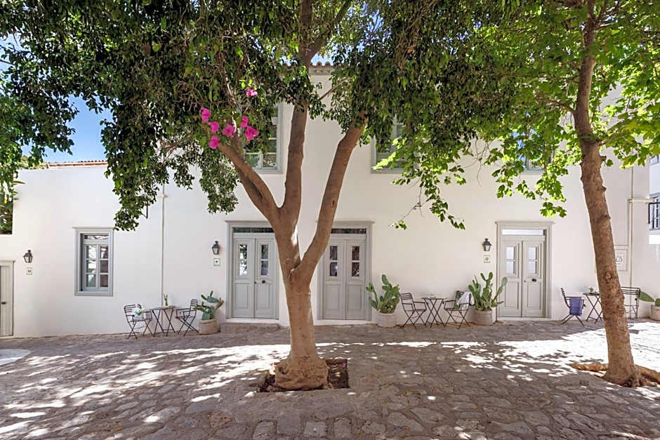 Cactus Hydra - Art Apartments