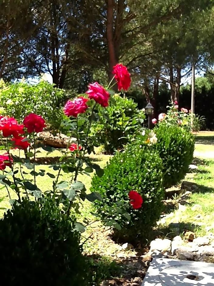 Campo alle Monache