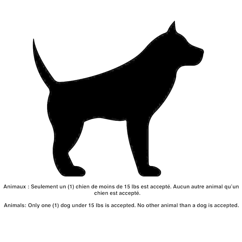 INITIAL - Évasion 107- Chutes-Montmorency