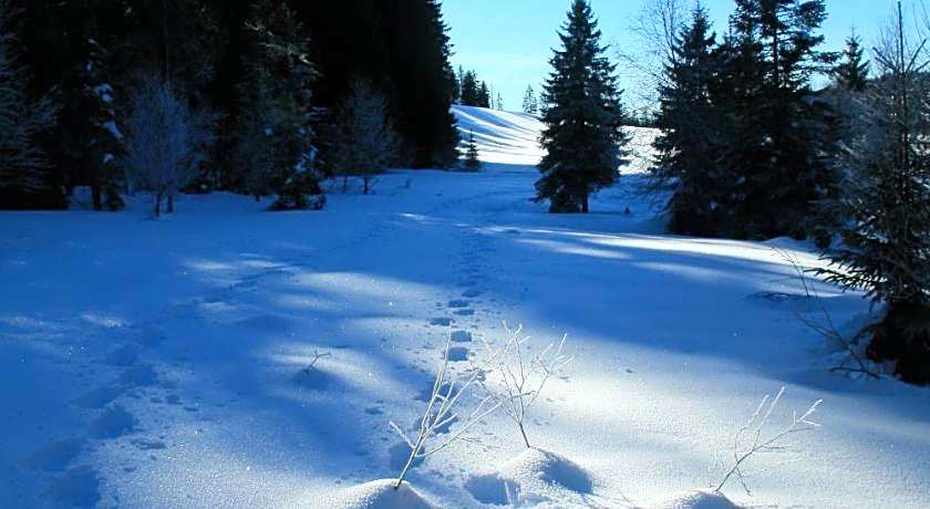 Au Coeur du Lapidaire