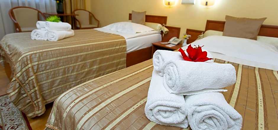 Hotel Fenyõ Conference & Spa