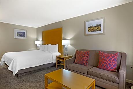 1 King Mob Accessible Comm Assist Roll In Shower Non-Smoking Full Breakfast