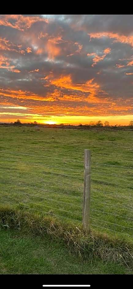 Whitstable tranquility