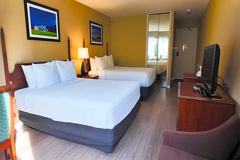 Photo 1 of 6 of 2 Queen Beds, Pet-Friendly