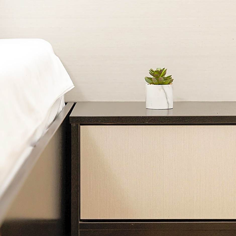 Hotel Anina