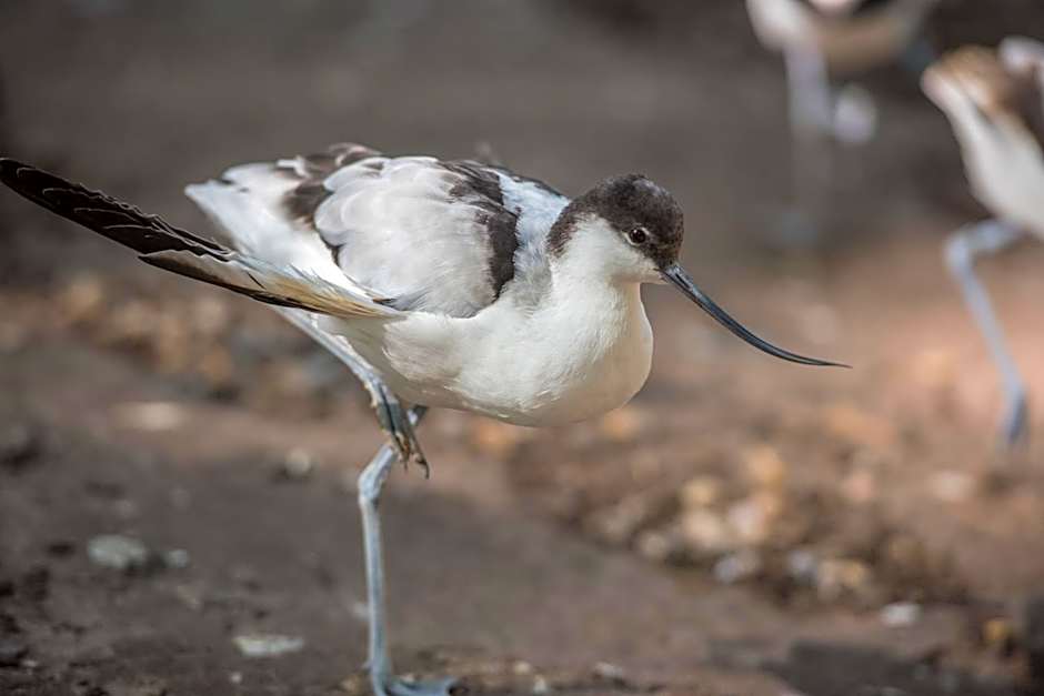 Vakantiepark Zevenbergen