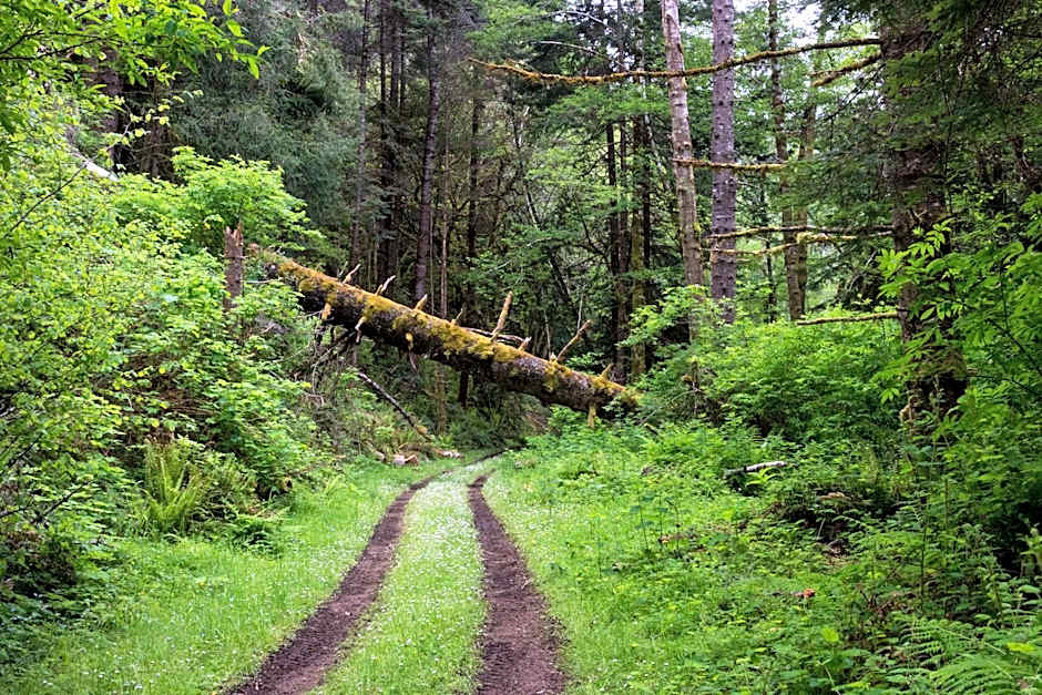 The Inn at Newport Ranch