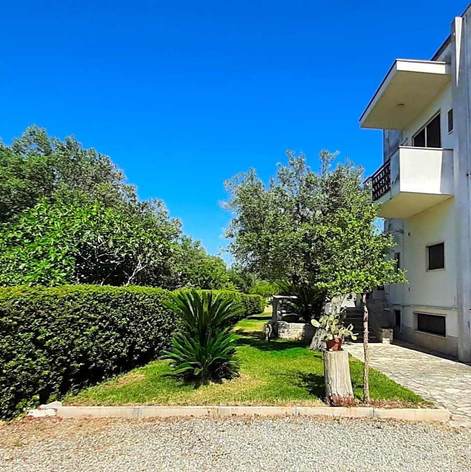 Villa Dragonfly by BarbarHouse