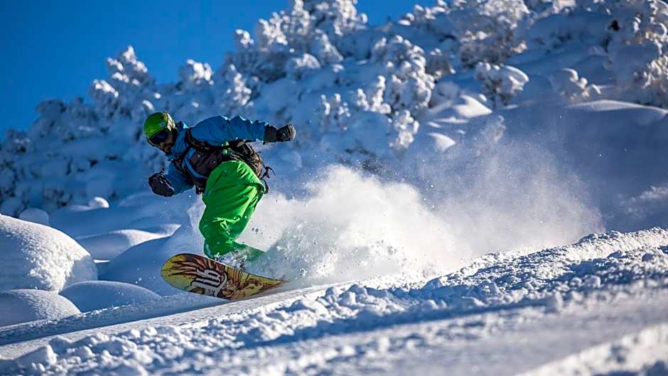Cozy Mountain Apartment