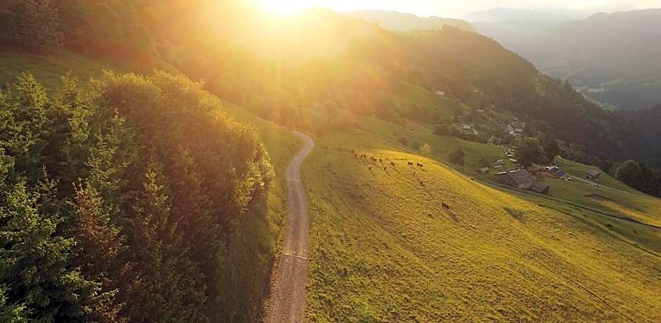 Cabane entre terre et ciel