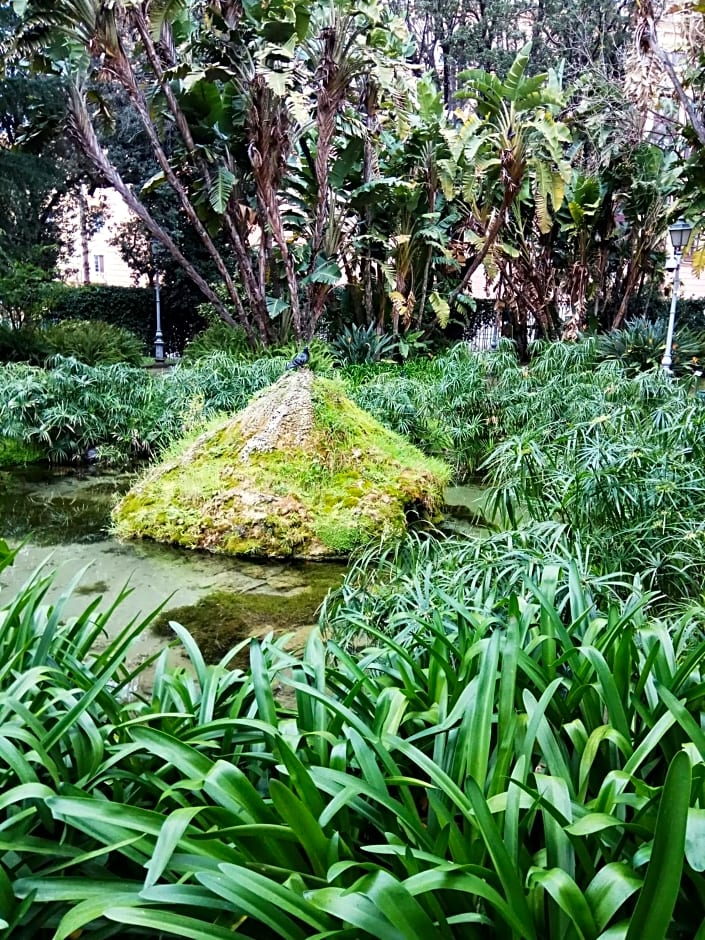 Amalfitani Salerno Centro