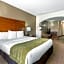 Comfort Inn & Suites Sacramento