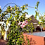 Riad Mariana