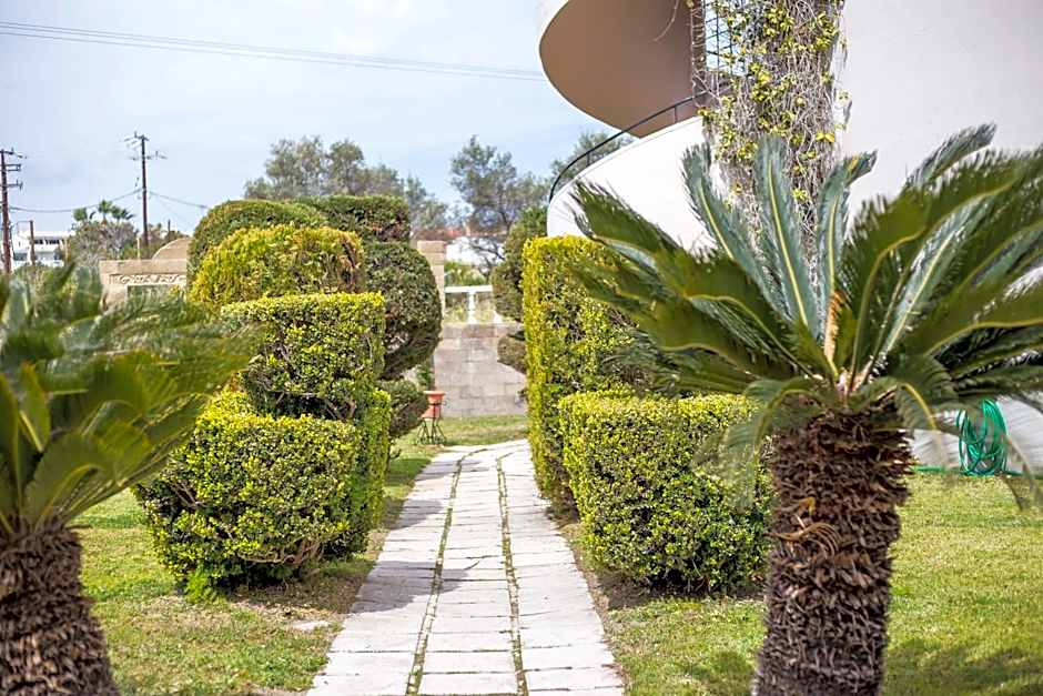 Jimmy’s Garden