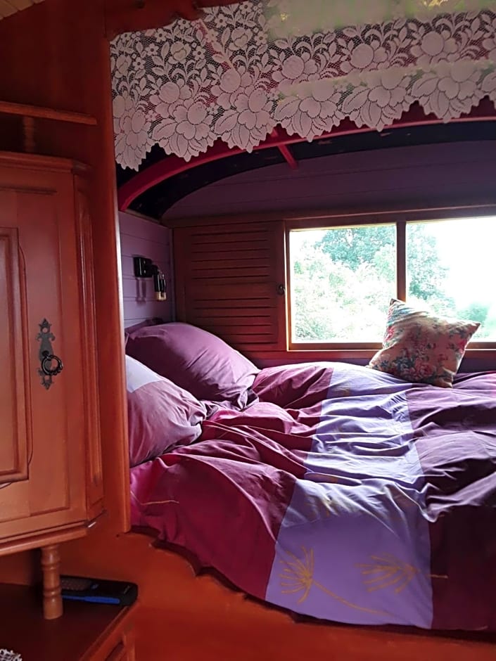 la roulotte de l'ami nature