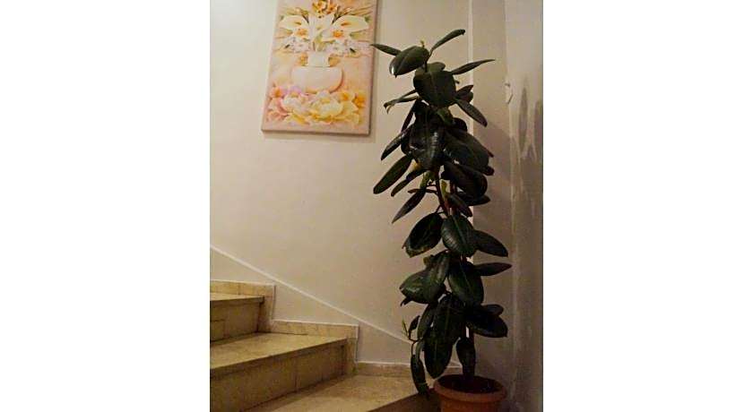 Hotel Grand İstanbul